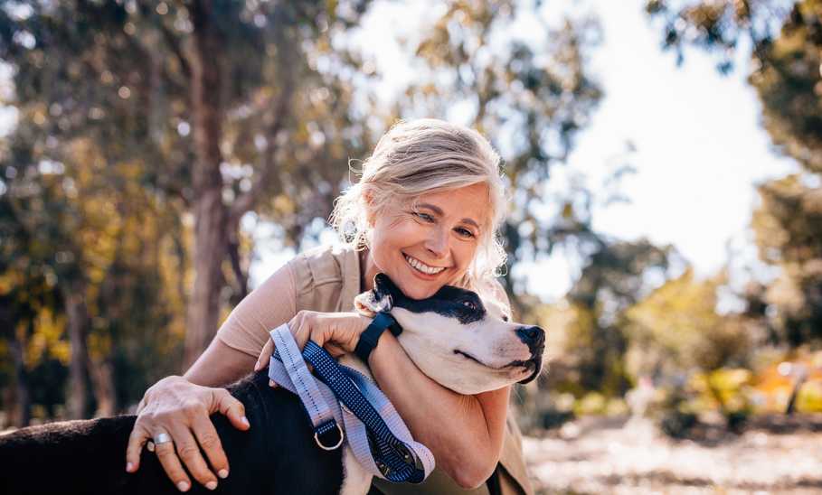 Best Pet Insurance for Older Dogs