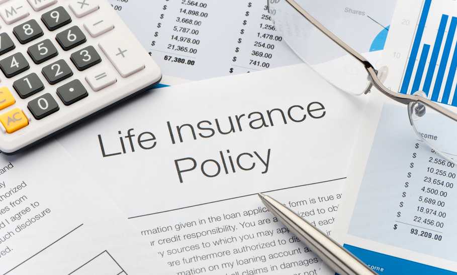 Term vs Whole Life Insurance