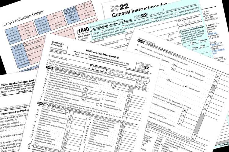 standard vs itemized deductions