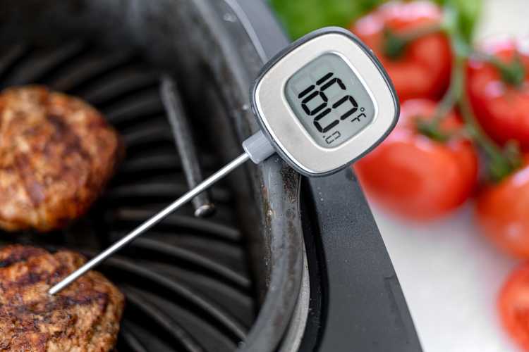 Best Meat Thermometers