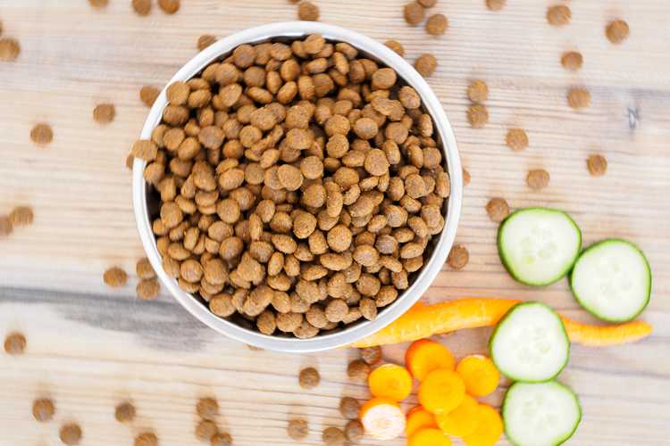 Best Dog Food for Allergies