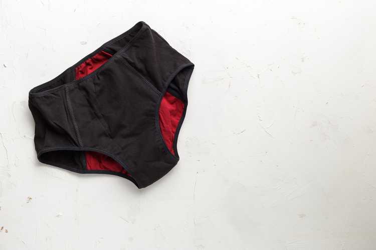 Thinx Period Underwear Review