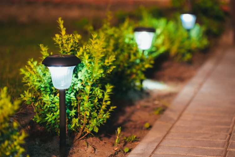 Best Outdoor Solar Lights