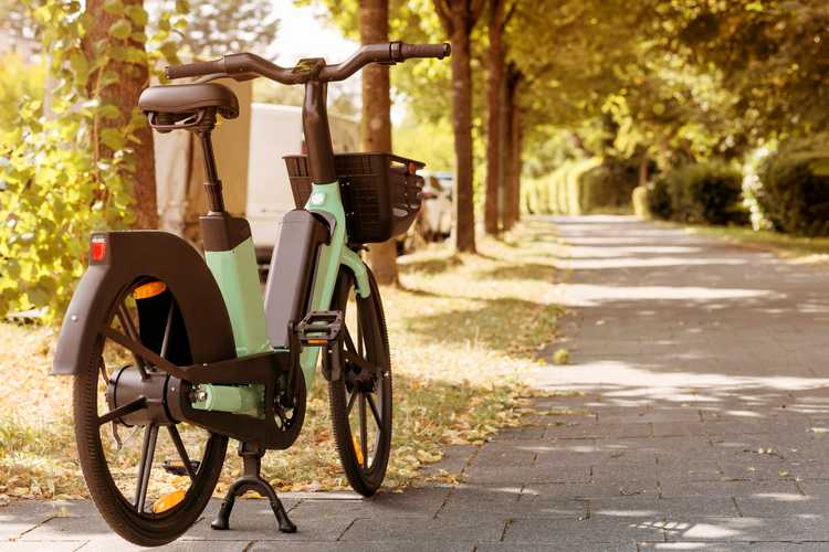 Cheap Electric Bike